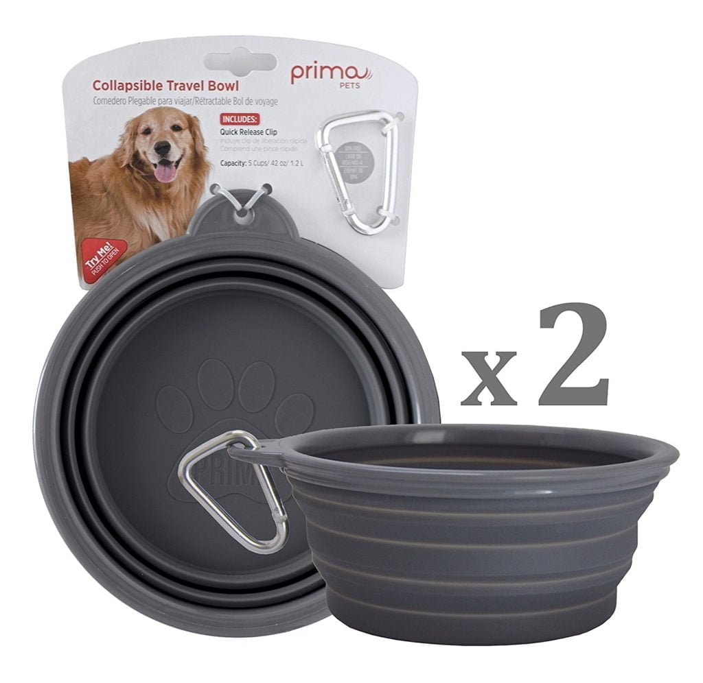 BEST COLLAPSIBLE DOG BOWLS