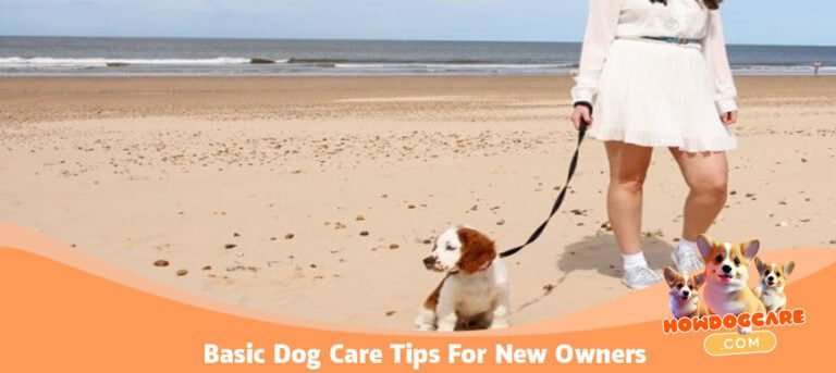 Basic Dog Care Tips For New Owners