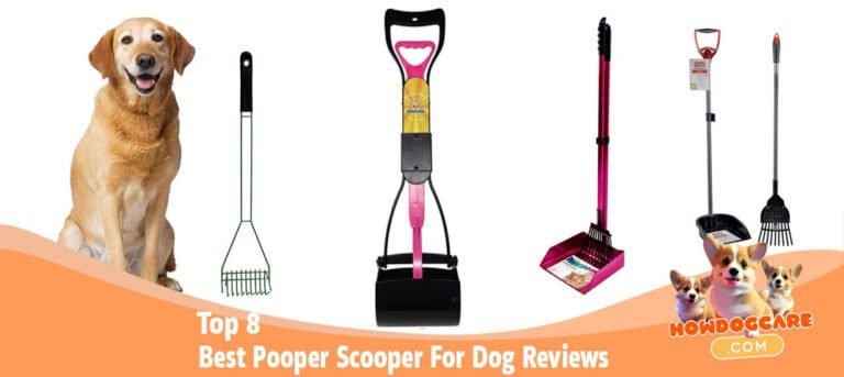 Top 8 Best Pooper Scooper For Dog Reviews