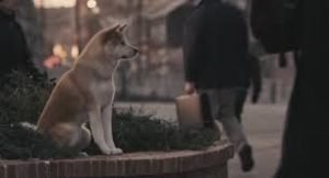 Hachiko Story - A Loyal Dog