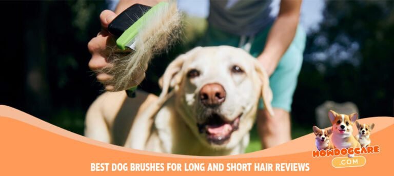BEST DOG BRUSHES FOR LONG AND SHORT HAIR REVIEWS