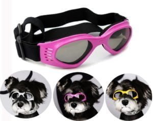 Best Dog Sunglasses Reviews