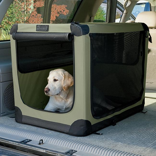 pet travel kennel