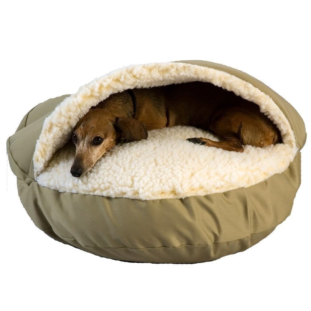 Best Heated Orthopedic Dog Bed Reviews