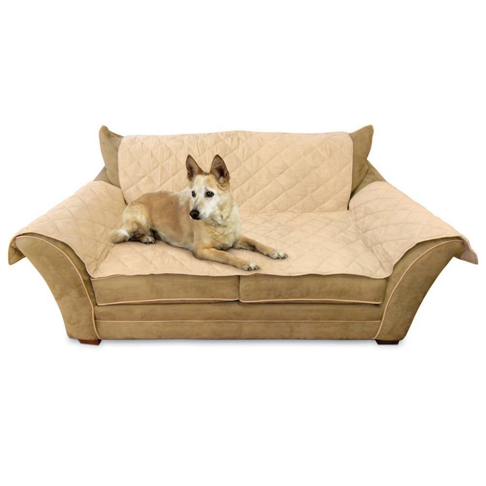 Best Heated Orthopedic Dog Bed Reviews