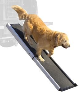 Best Dog Steps and Ramps