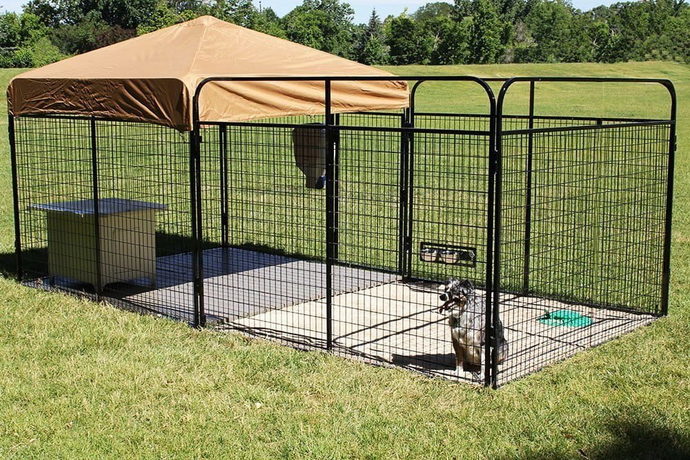 best outdoor dog house