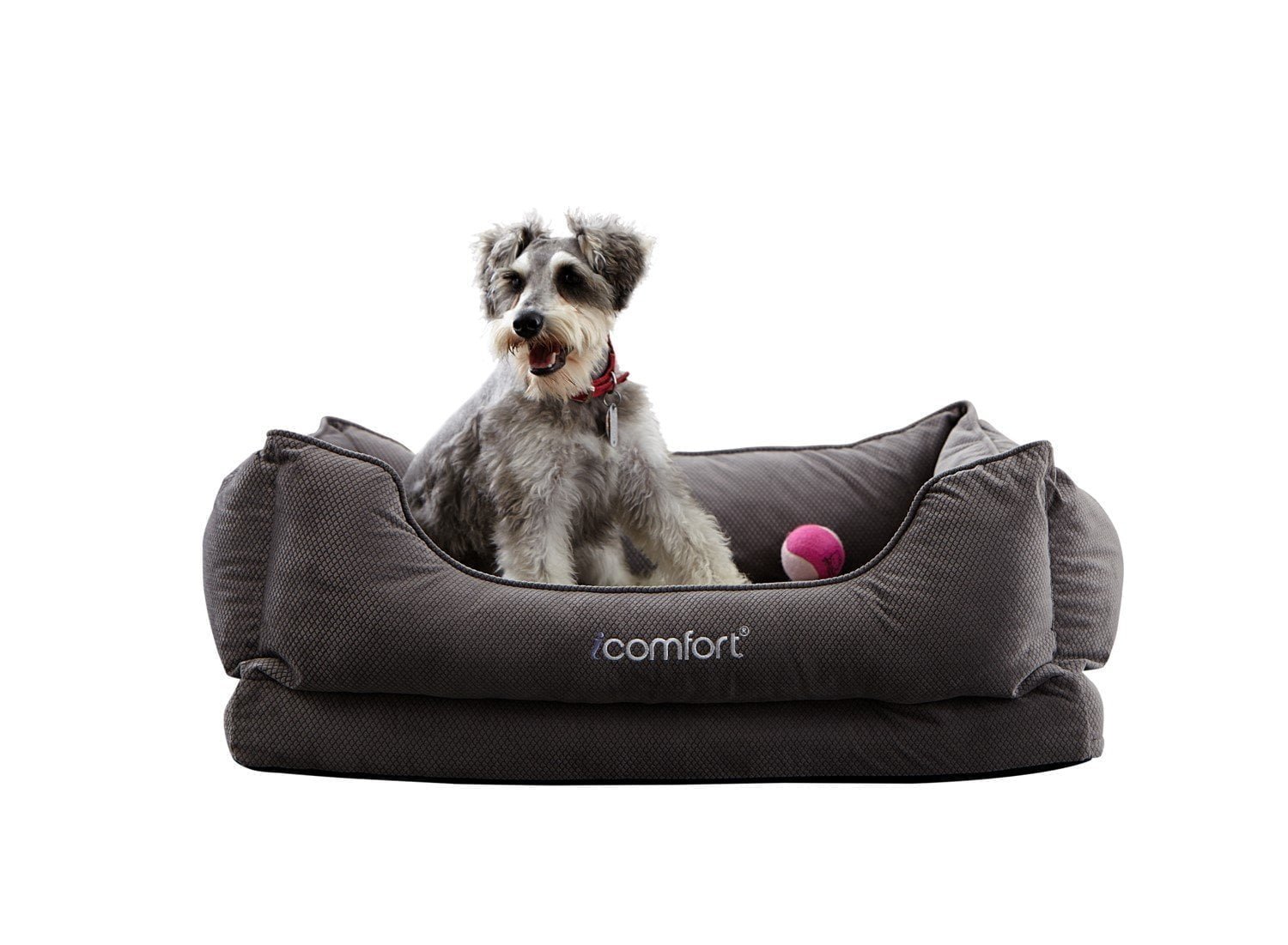 Memory Foam Dog Beds Best top care with dogs