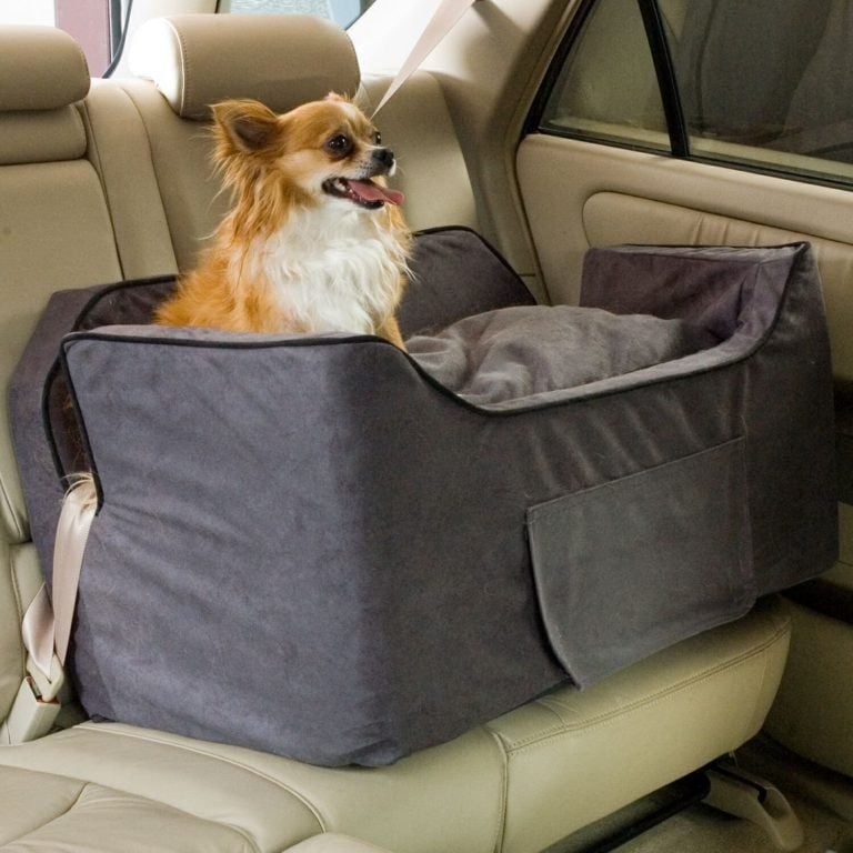 Top 5 Best Dog Carrier for Car Reviews - How Dog Care