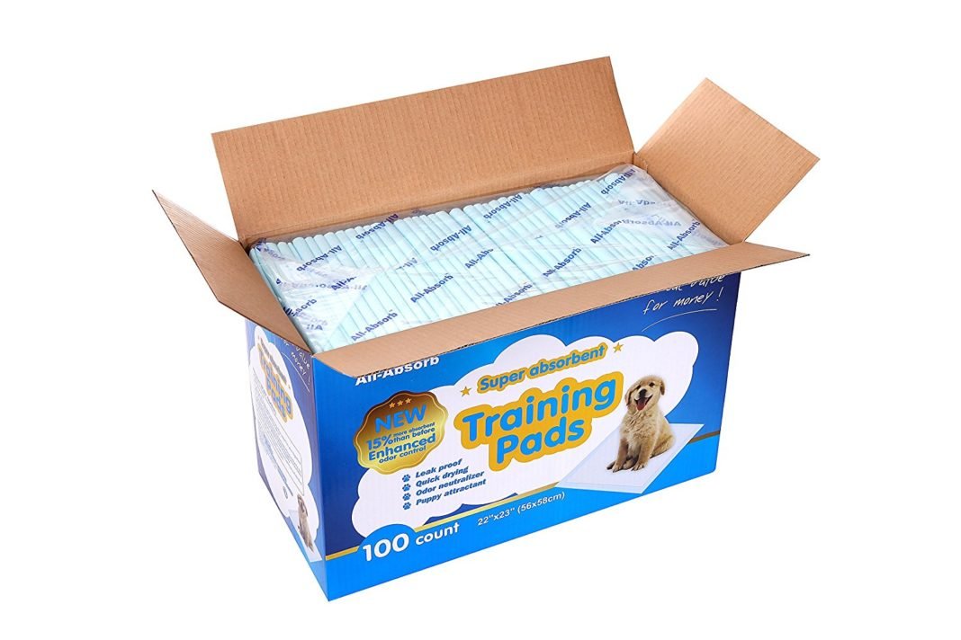 Best Potty Training Pads For Dogs Reviews How Dog Care