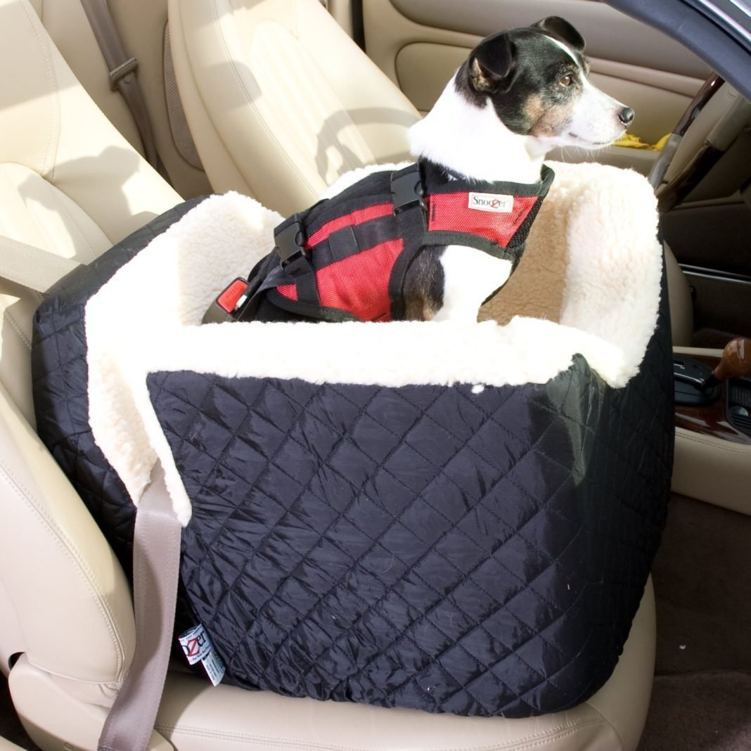 Top 5 Best Dog Carrier for Car Reviews How Dog Care