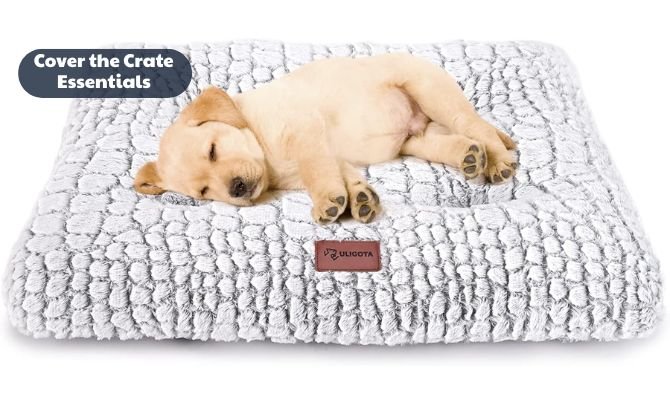 Stop a Puppy From Whining Cover the Crate Essentials