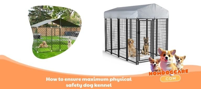 How to ensure maximum physical safety dog kennel New