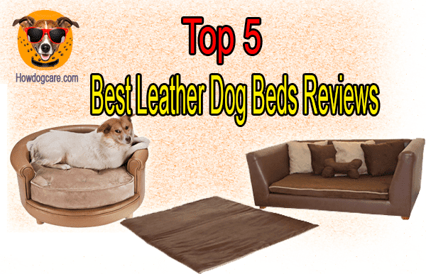 Top 5 Best Leather Dog Beds Reviews