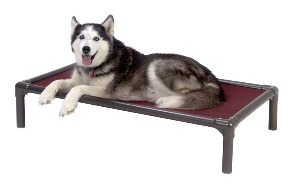 Kuranda raised dog bed