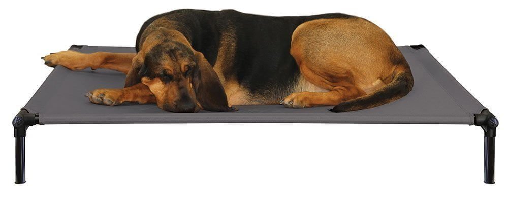 Raised dog bed