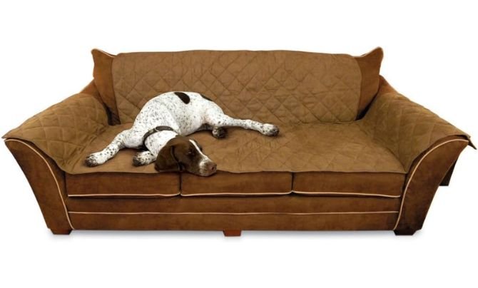 Top 8 Best Dog Couch Cover Reviews new-3