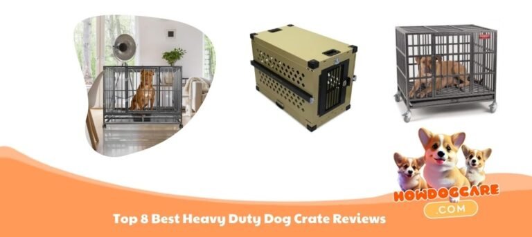 Top 8 Best Heavy Duty Dog Crate Reviews
