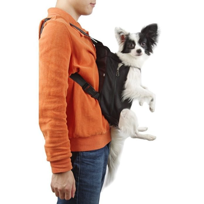Top 10 Best Dog Carrier Backpack Hiking Reviews How Dog Care