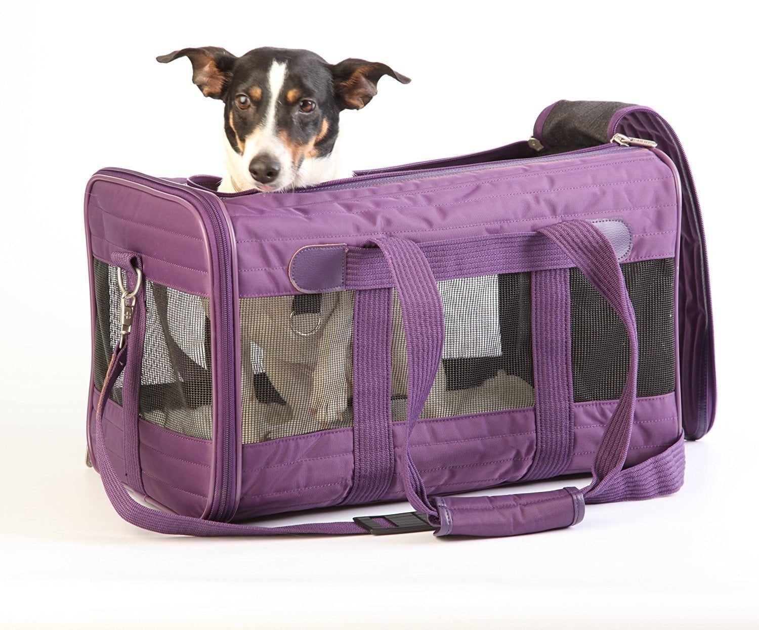 Top 4 Best Dog Crates for Anxious Dogs How Dog Care