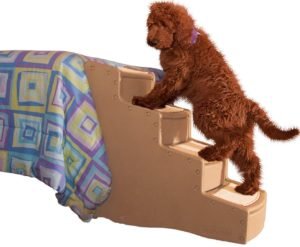 Best Dog Stairs For Bed