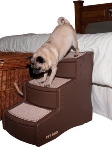 Best Dog Stairs For Bed