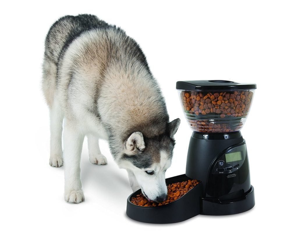 Best automatic dog feeder by Aspen Pet Lebistro