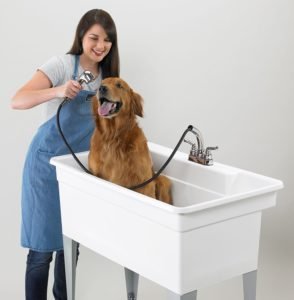 Best Dog Bath Tub For Home