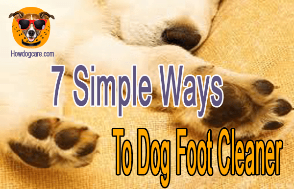 7 Simple Ways To Dog Foot Cleaner