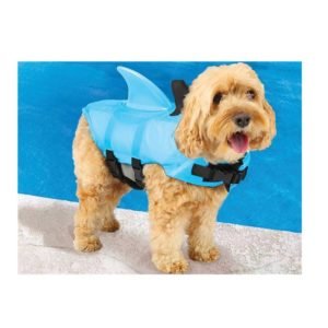 That also means taking your lovely small dogs with you to the beach that you may have in the market for best small dog life jacket to keep your pets safe.