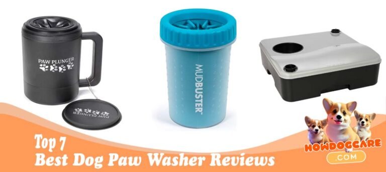 Best Dog Paw Washer Reviews