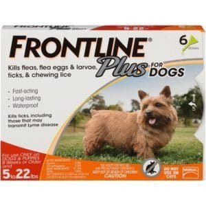Best Flea Medicine For Dogs
