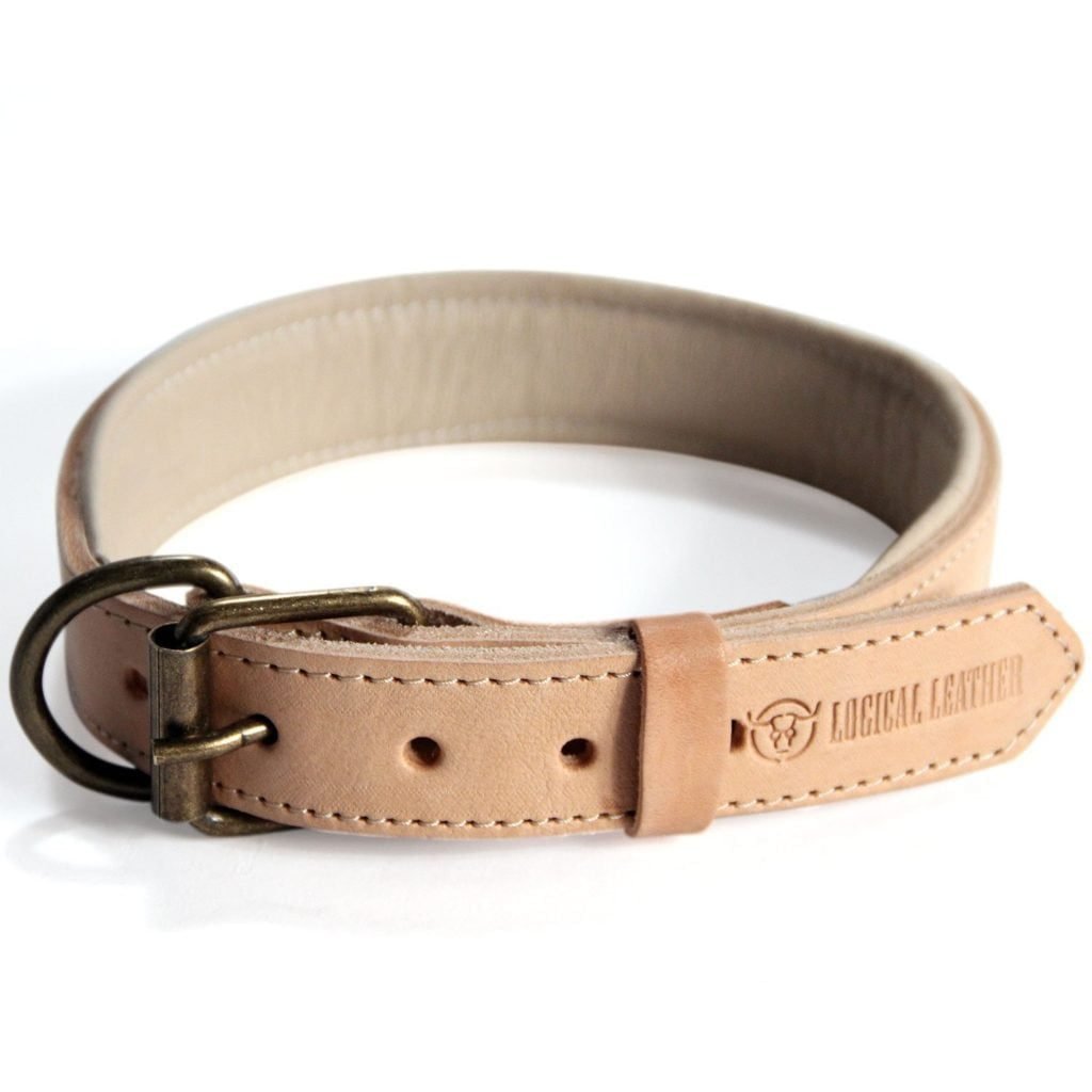 Best Leather Dog Collars Reviews 5