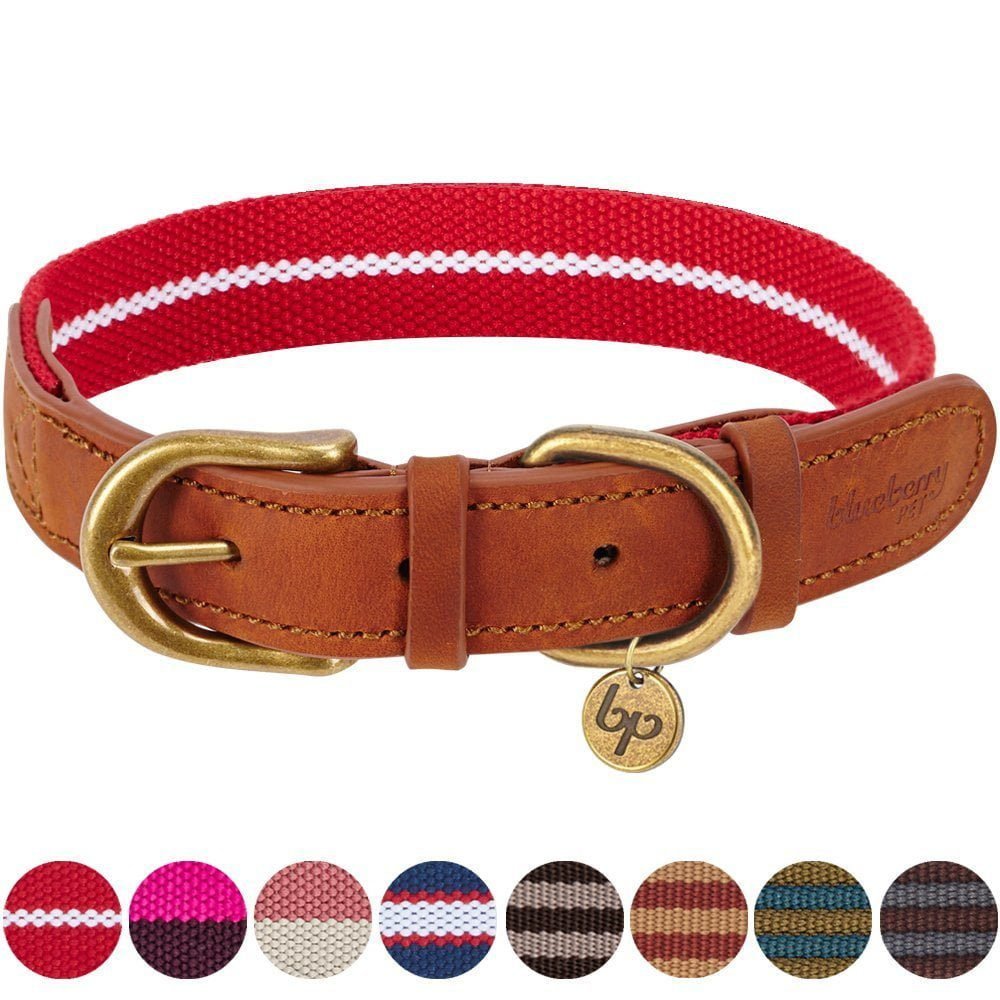 Best Leather Dog Collars Reviews 6