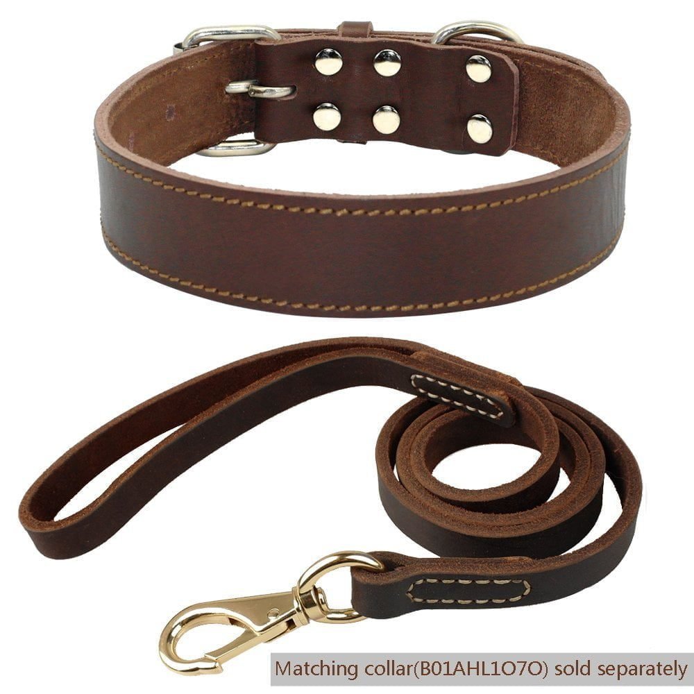 Best Leather Dog Collars Reviews 7