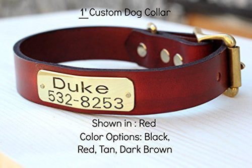 Best Leather Dog Collars Reviews 9