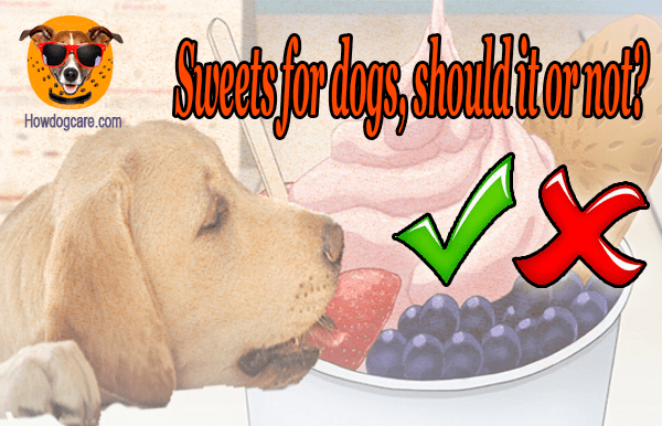 Sweets for dogs, should it or not