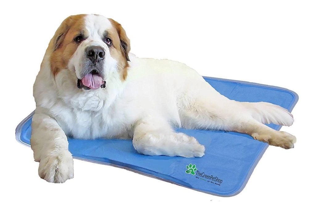Best Cooling Mat For Dogs
