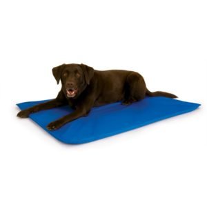 Best Cooling Mat For Dogs Reviews