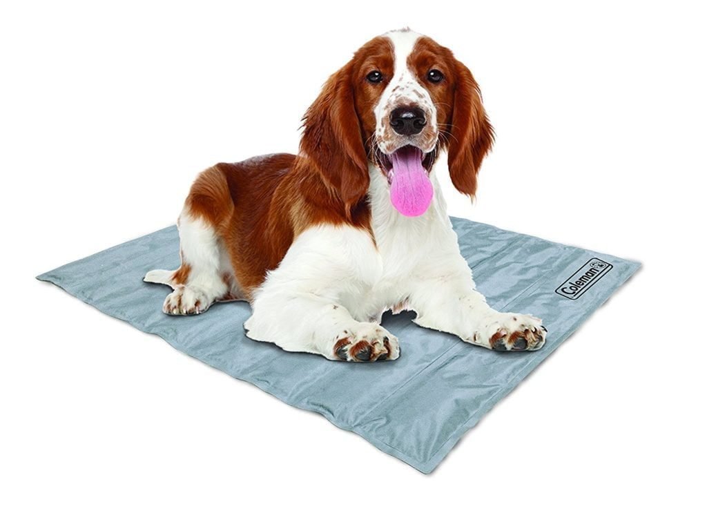 Best Cooling Mat For Dogs Reviews 6