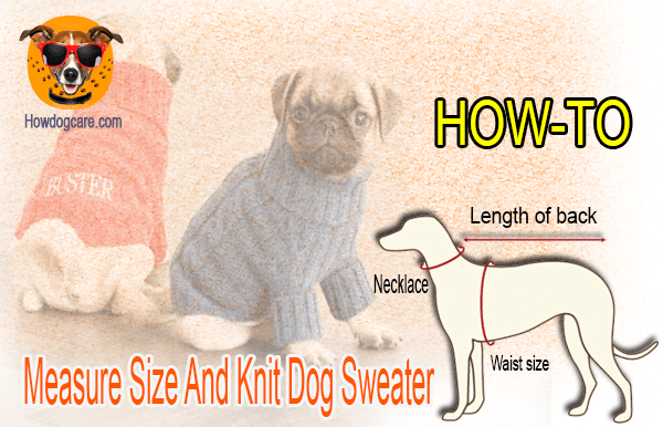 how to measure size and knit dog sweater
