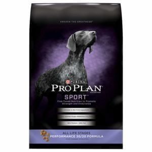 Best Dog Food for Huskies 2018 by Purina Pro Plan