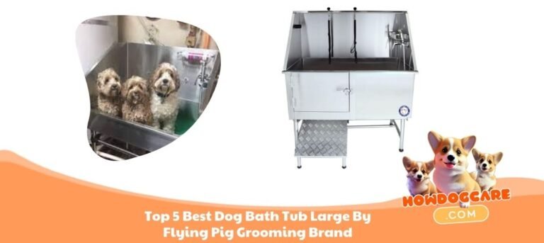 Top 5 Best Dog Bath Tub Large By Flying Pig Grooming Brand