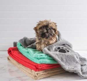 best dog towel for drying dogs by DII Bone Dry