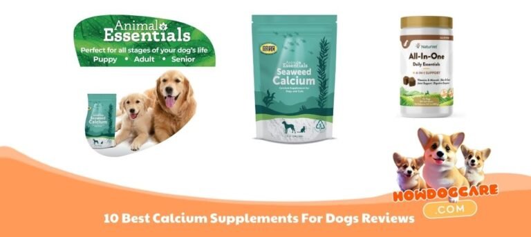 10 Best Calcium Supplements For Dogs Reviews