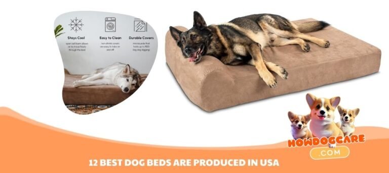 12 BEST DOG BEDS ARE PRODUCED IN USA