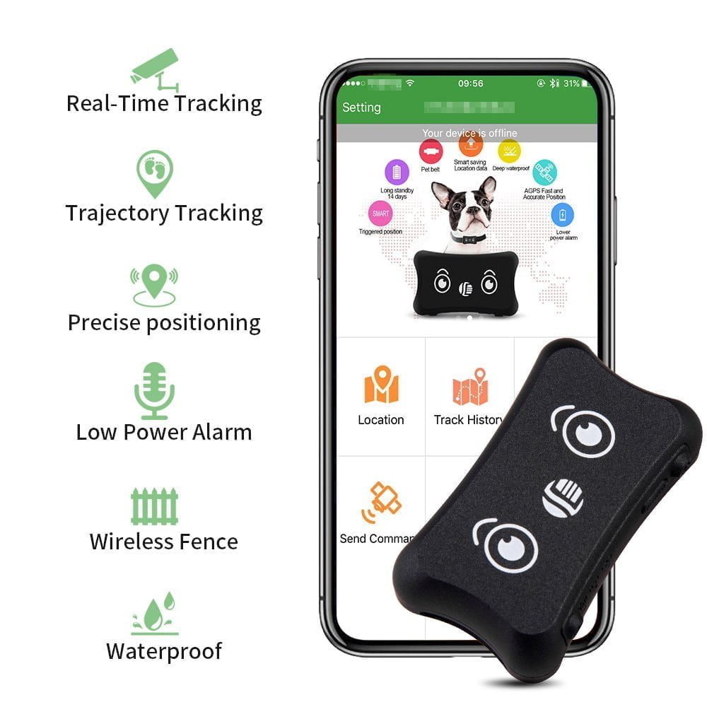Best GPS Dog Tracker Collars By DAGPS