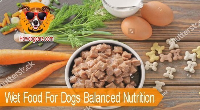 Wet Food For Dogs Balanced Nutrition