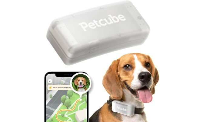 Petcube GPS Tracker for Dogs