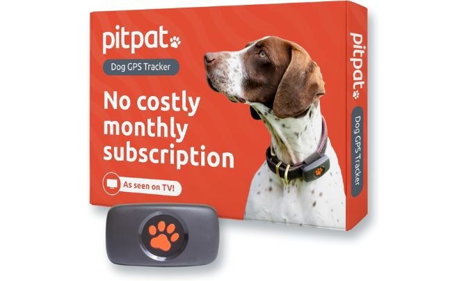 PitPat GPS Tracker for Dogs